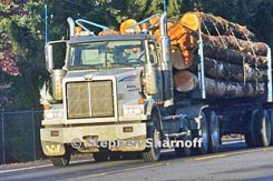 log truck thumbnail graphic